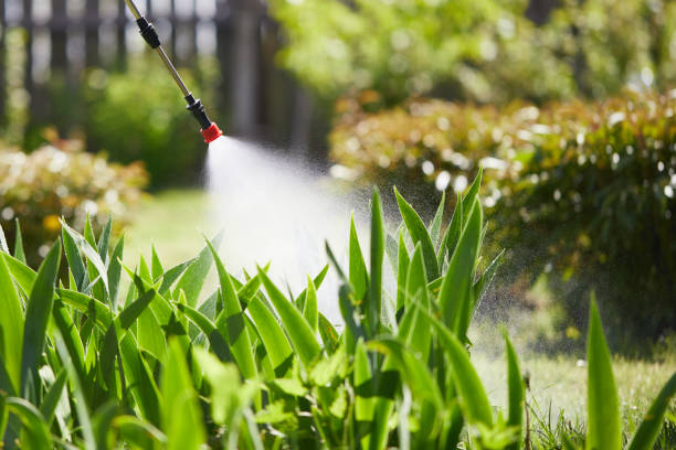 Tamper-Resistant Bait Stations for Rodents in Elmore