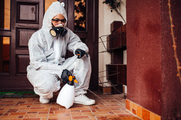 Attic and Crawl Space Rodent Treatment in Elmore