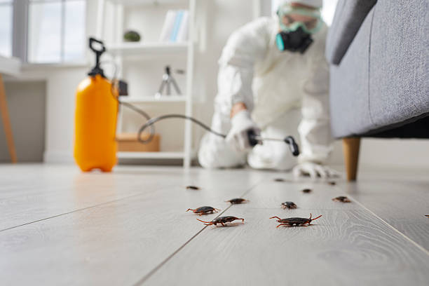 Commercial Rodent Management in Elmore